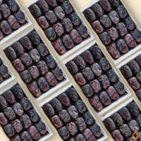 Eymen Mazafati Datteln Premium Frische Datteln mit Kern 500 g