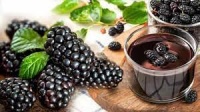 Naturyol Black Maulbeersirup Melasse 700 g