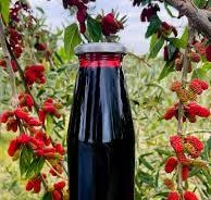 Naturyol Black Maulbeersirup Melasse 700 g