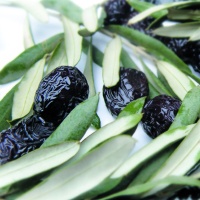 Zeytin Ana Müptela Schwarze Oliven 1000 g